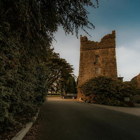 Killiane Castle Country House & Farm Drinagh Eksteriør bilde