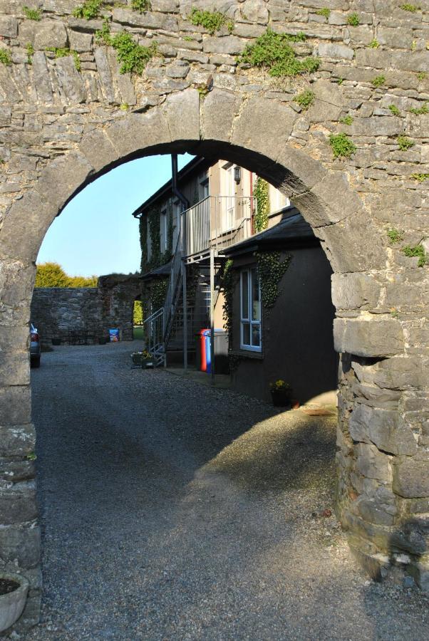 Killiane Castle Country House & Farm Drinagh Eksteriør bilde