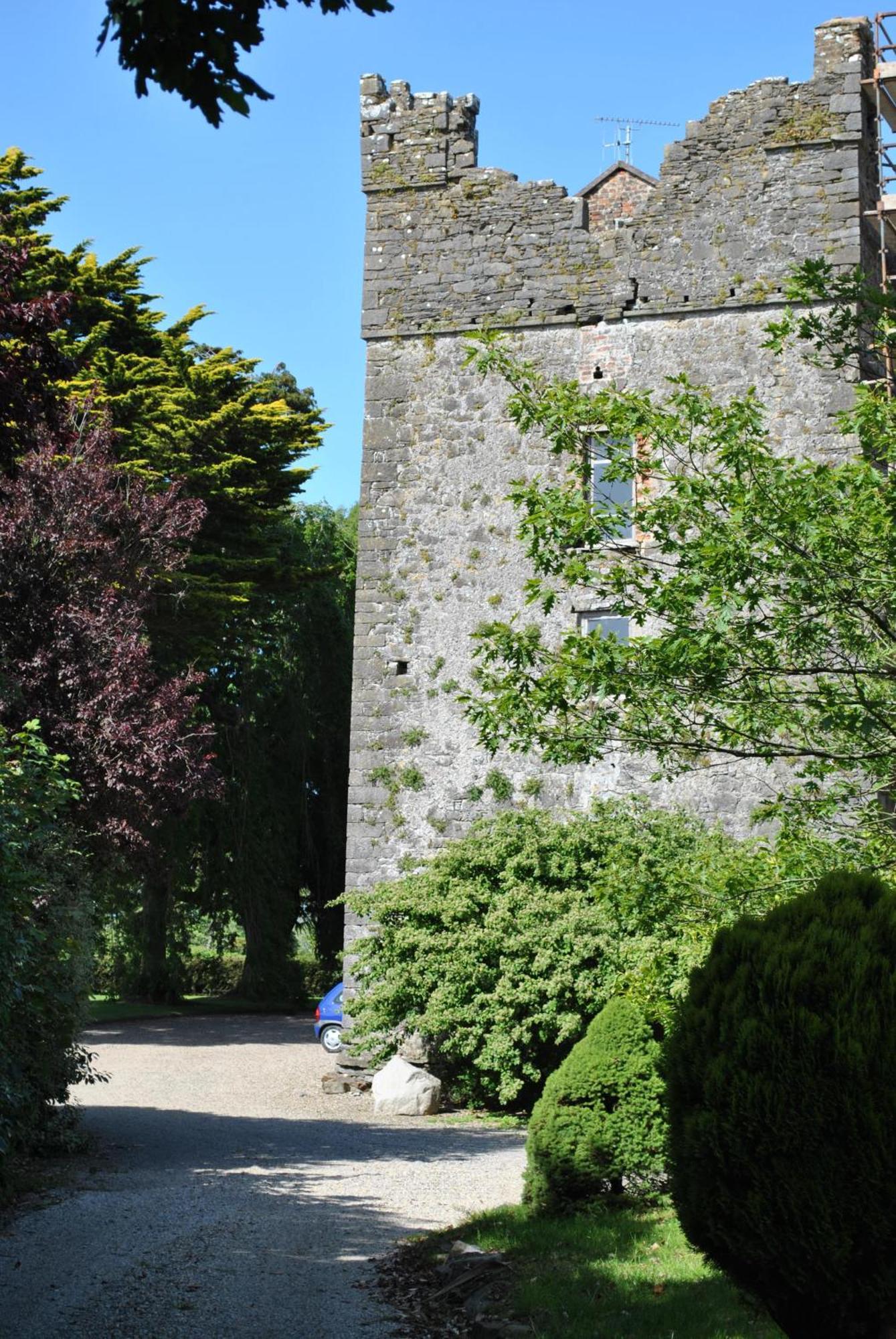 Killiane Castle Country House & Farm Drinagh Eksteriør bilde