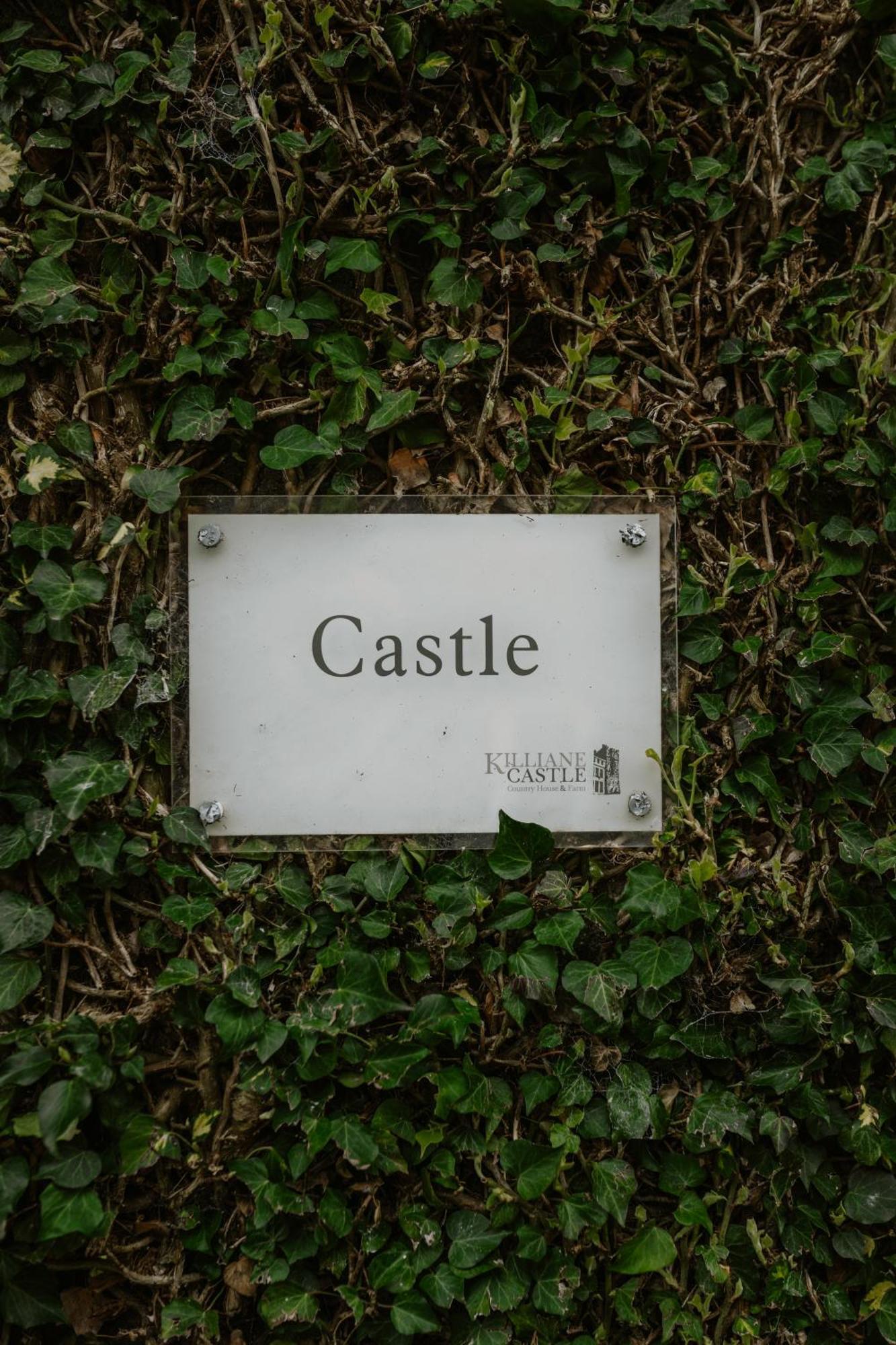 Killiane Castle Country House & Farm Drinagh Eksteriør bilde