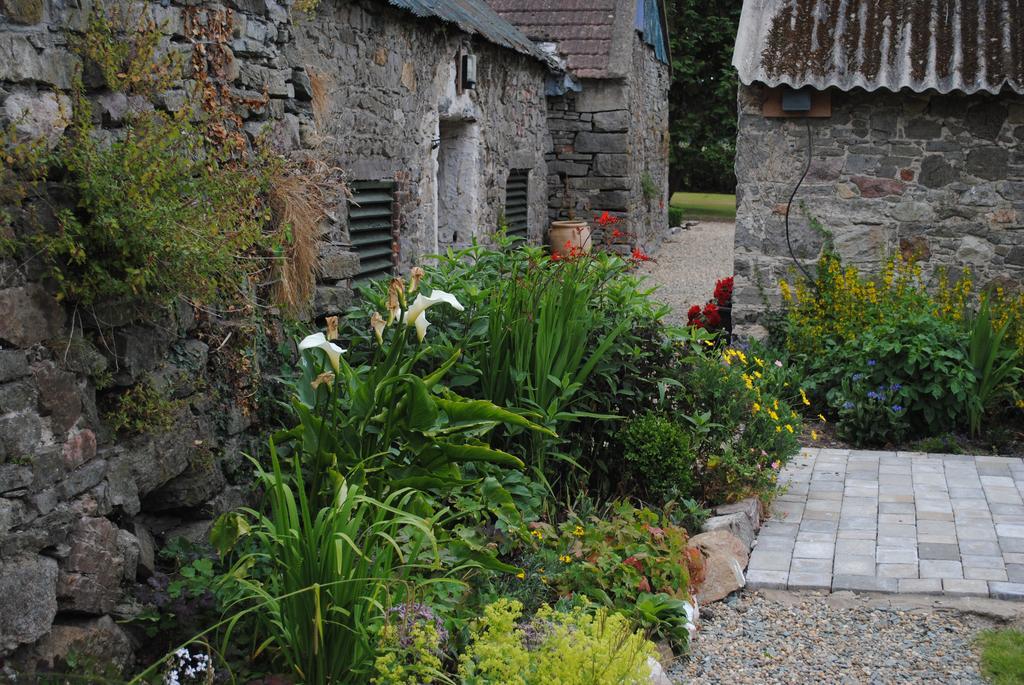 Killiane Castle Country House & Farm Drinagh Eksteriør bilde